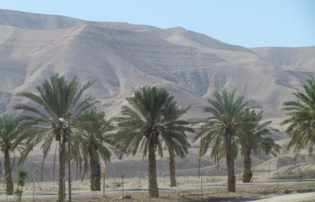 אטרקציות מומלצות באילת לכל המשפחה
