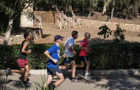 לרוץ עם ג'ירפות: מרוץ הספארי